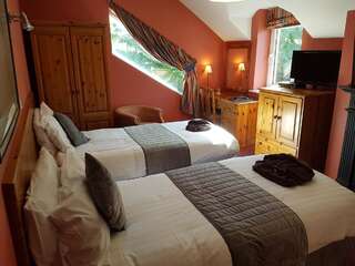 Отели типа «постель и завтрак» Boffin Lodge Guest House Уэстпорт Двухместный номер с 1 кроватью-4